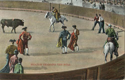 Picador Charging The Bull