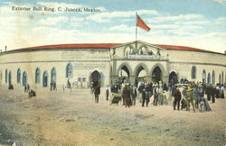 Exterior Bull Ring