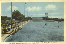 Previous Card