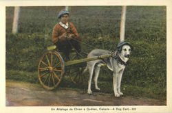 A Dog Cart