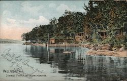 Sewells Point, Lake Winnepesaukee Postcard