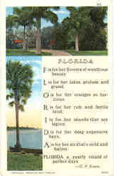 Florida Poem Poems & Poets Postcard Postcard