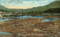 A typical scene in the Lumber District of the Northwest