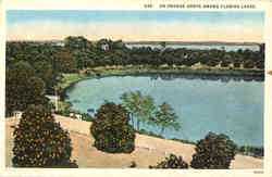 An Orange Grove Among Florida Lakes