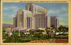 The Los Angeles County General Hospital