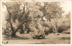 Riverside Park Postcard