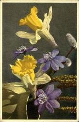 Spring Flowers