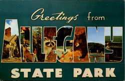 Greetings From Allegany State Park