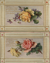 Set of 2: Klein Roses with Border Postcard
