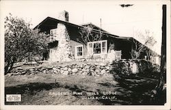Kruger's Pine Hills Lodge Postcard