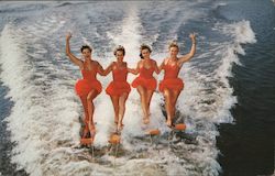 Aqua-Maids perform spectacular watersking feats at Cypress Gardens Postcard