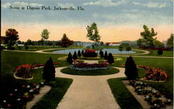 Scene In Dignan Park
