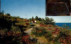 View Along The Famous Marginal Way View Along The Famous Marginal Way