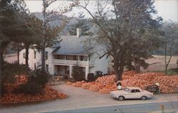 Pumpkin Center of the South Postcard