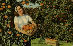 Previous Card