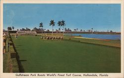 Horses Racing on the Turf, Gulfstream Park Hallandale, FL Postcard Postcard Postcard