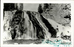 Previous Card