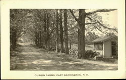 Durgin Farms