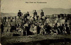 Hay Used For Fortifications