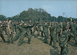 Rifle Drill, Marine Corps Recruit Depot Postcard