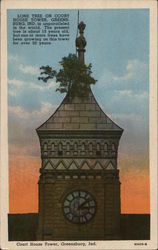 Lone Tree on Court House Tower Postcard