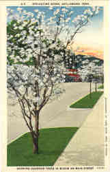Springtime Scene Springtime Scene