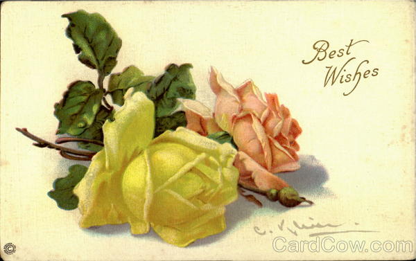 Best Wishes C. Klein Flowers
