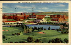 University Of California