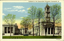 Cathedral of the Immaculate Conception Cathedral of the Immaculate Conception