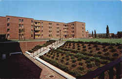 New Freshman Dormatories Postcard