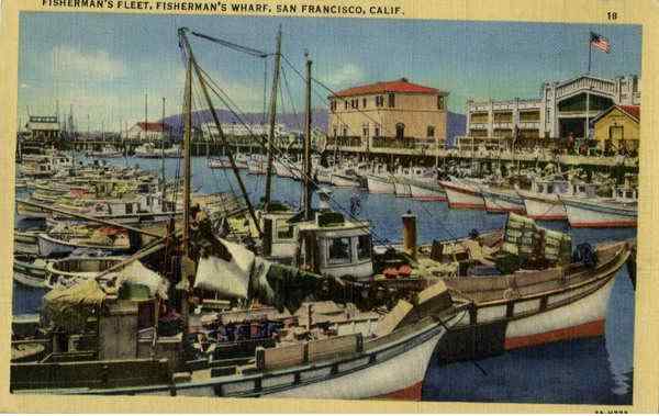Fisherman's Fleet Fisherman's Wharf San Francisco California