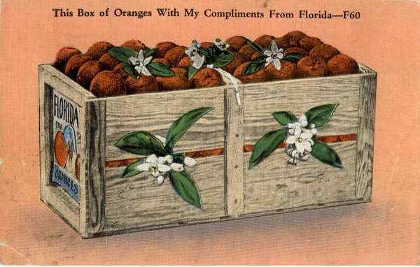 Box of Oranges with My Compliments From Florida Fruit