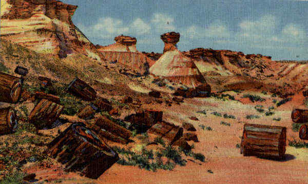 Petrified Wood and Erosions Petrified Forest Petrified Forest National Park Arizona