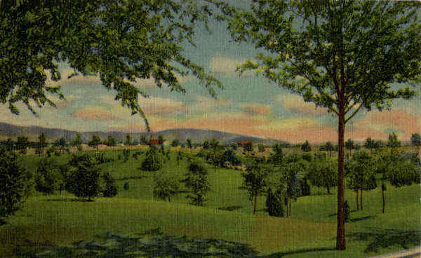 Roosevelt Park Albuquerque New Mexico