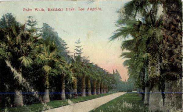 Palm Walk, Eastlake Park Los Angeles California