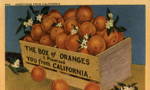 Greetings from California Oranges Scenic