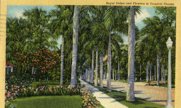 Royal Palms and Flowers in Tropical Florida Fort Myers