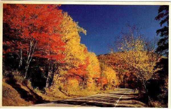 Fall Splendor at Twin Mountain White Mountains New Hampshire