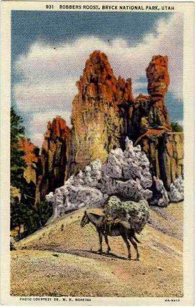 Robbers Roost Bryce Canyon National Park Utah