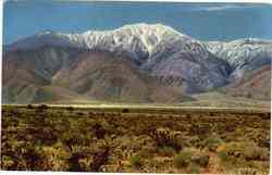 San Jacinto Mountain Scenic, CA Postcard Postcard