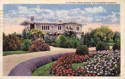 Typical Home among flowers St. Petersburg, FL Postcard Postcard