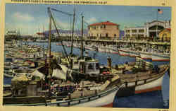 Fisherman's Fleet Fisherman's Wharf Postcard