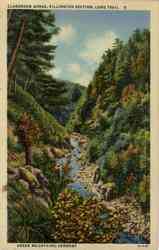 Clarendon Gorge Killington Section Long Trail Postcard