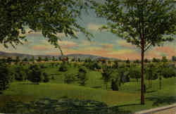 Roosevelt Park Postcard