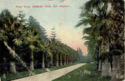 Palm Walk, Eastlake Park Postcard