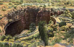 Entrance to Carlsbad Caverns Postcard