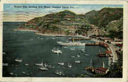 Avalon Bay Showing Still Water Postcard