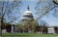 United States Capitol Postcard