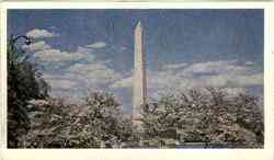 Washington Monument District Of Columbia Washington DC Postcard 