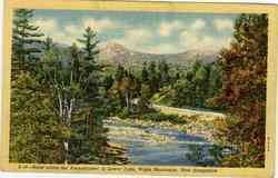 Road along Ammonoosuc at Lower Falls White Mountains, NH Postcard Postcard